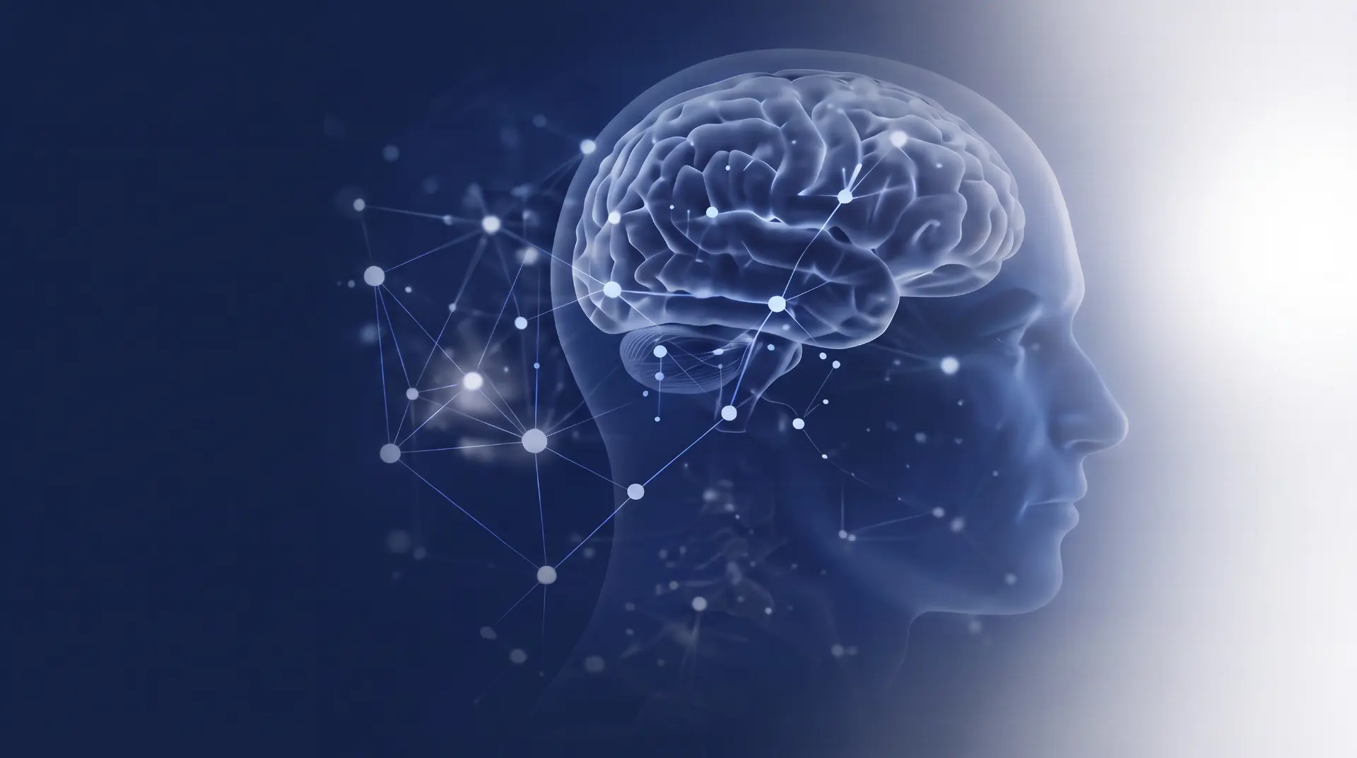 The human brain visualized as a luminous neural network